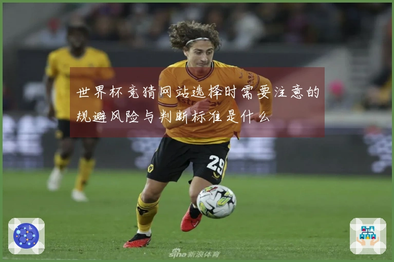 世界杯竞猜网站选择时需要注意的规避风险与判断标准是什么