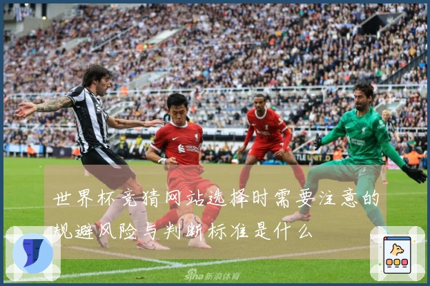 世界杯竞猜网站选择时需要注意的规避风险与判断标准是什么