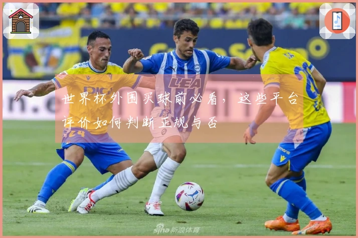 世界杯外围买球前必看，这些平台评价如何判断正规与否