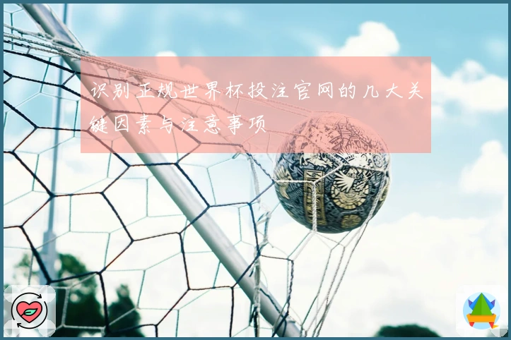 识别正规世界杯投注官网的几大关键因素与注意事项