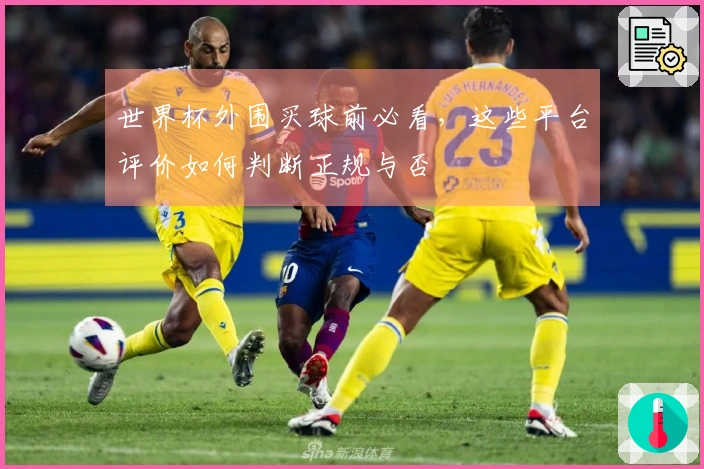 世界杯外围买球前必看，这些平台评价如何判断正规与否